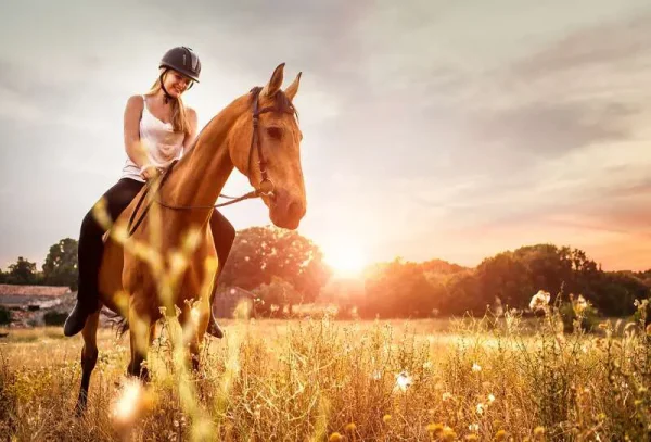 Horse riding